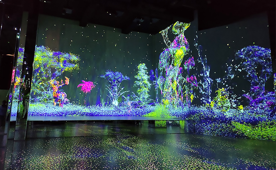 Nomad Museo Inmersivo